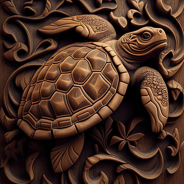 Animals turtle